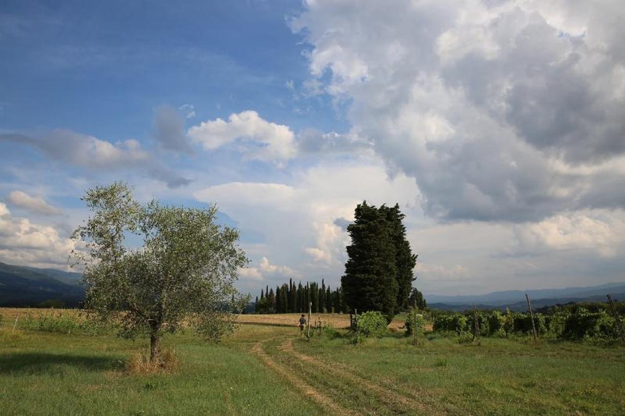 Villa Francesca Rignano sullʼArno Esterno foto